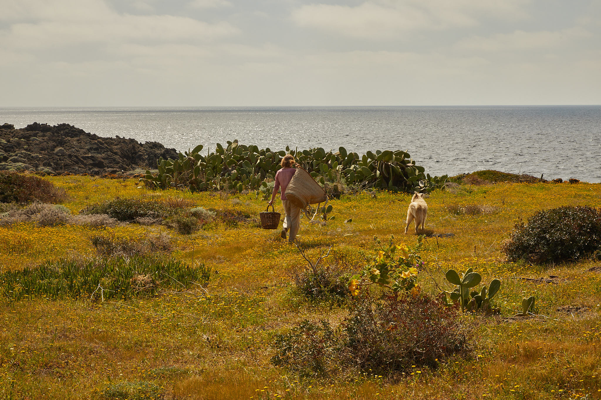 _54A7922-soleone-pantelleria-©jessica-prautzsch